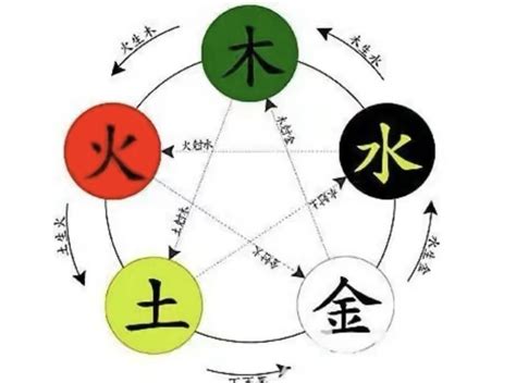 宜 五行|宜字的五行属性